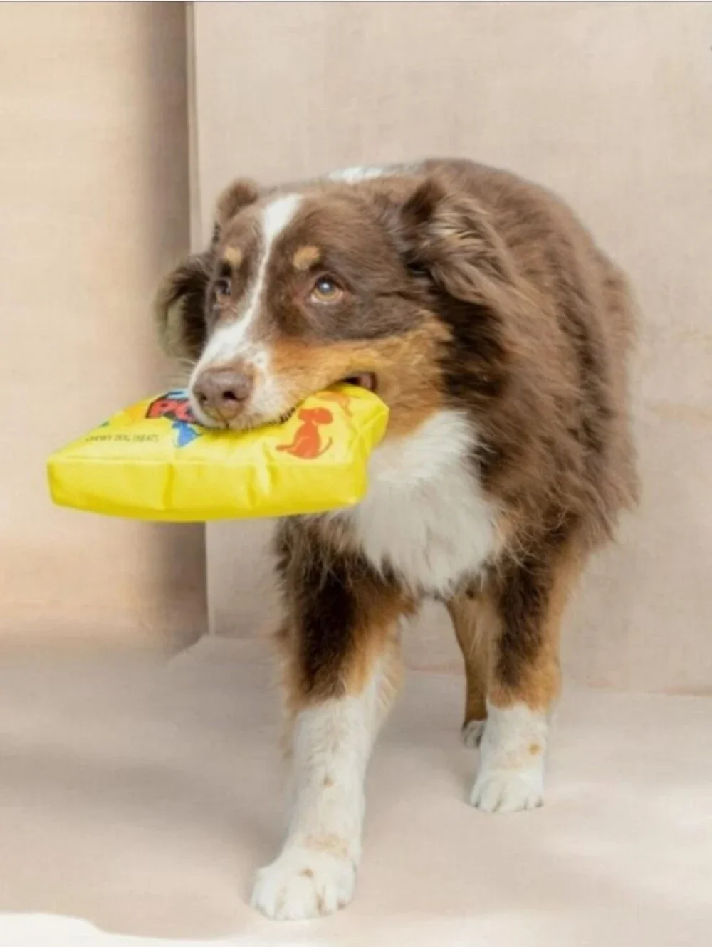 Fun Food 'Sour Pooch' Yellow Squeaky Dog Toy